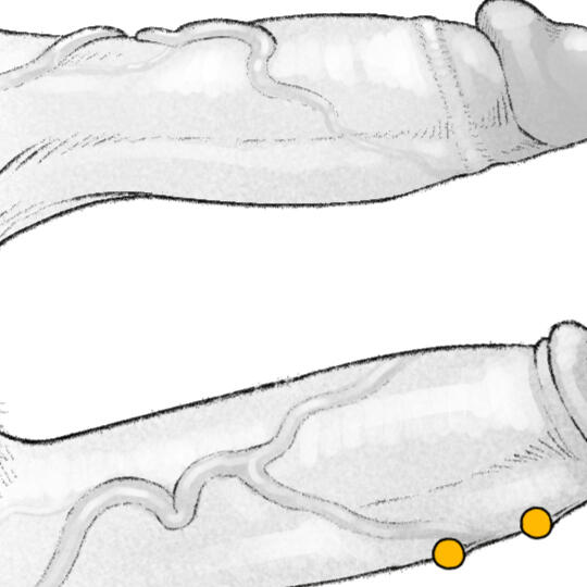Sleep Token dick chart
