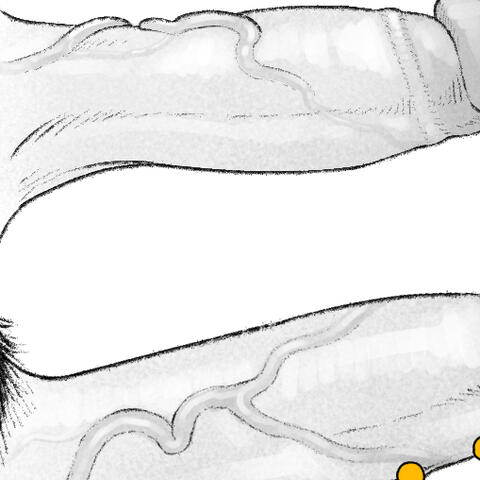 Sleep Token dick chart