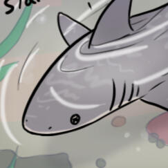Shark