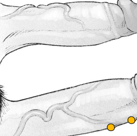 Sleep Token dick chart